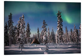 Aluminium print Northern Lights over a Snow Covered Forest