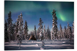 Gallery print Northern Lights over a Snow Covered Forest