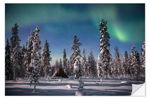 Sticker mural Aurores boréales sur une forêt couverte de neige