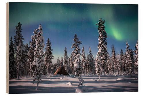 Puutaulu Northern Lights over a Snow Covered Forest