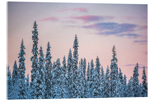 Acrylic print Pink Sunset Over Winter Forest Landscape