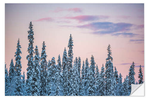 Sisustustarra Pink Sunset Over Winter Forest Landscape