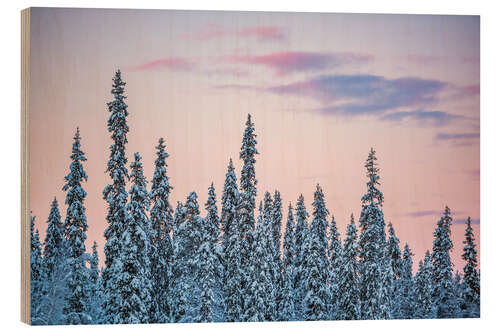 Wood print Pink Sunset Over Winter Forest Landscape