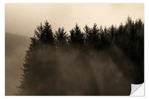 Wall sticker Misty Trees in a Forest in the Mountains at Sunset