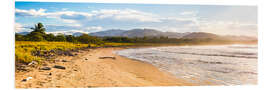 Foam board print Tropical Beach and Rainforest in Costa Rica