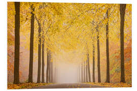 Foam board print Road in autumn