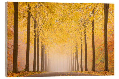 Hout print Road in autumn