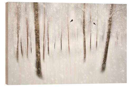 Wood print Winter birch trees