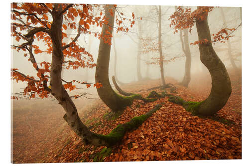 Acrylic print Autumn in the Ore Mountains