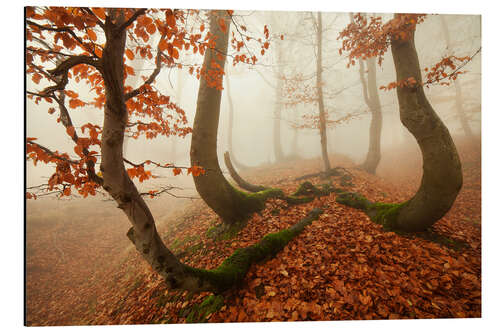 Alubild Herbst im Erzgebirge