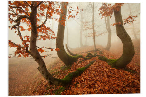 Gallery Print Herbst im Erzgebirge