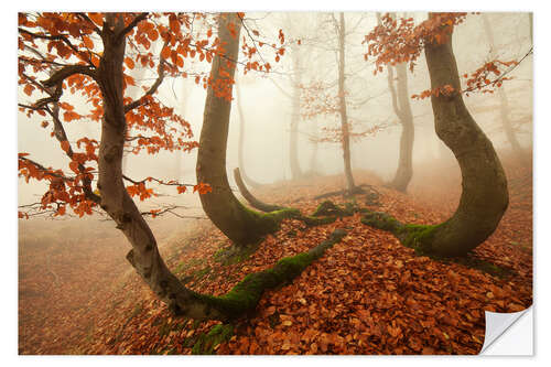 Selvklebende plakat Autumn in the Ore Mountains