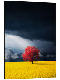 Magnettafel Roter Baum