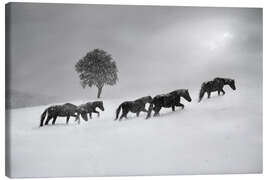 Canvas print Horses in a snow storm