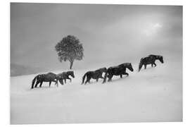 Foam board print Horses in a snow storm