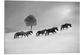 Tableau en plexi-alu Chevaux dans une tempête de neige