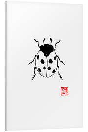 Tableau en aluminium Coccinelle