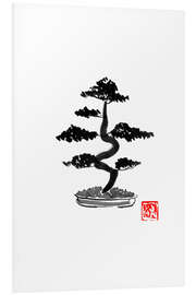 Foam board print Bonsai