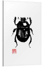 Magnettafel Skarabäus 02