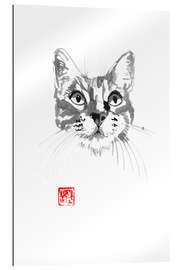 Gallery print Cat face