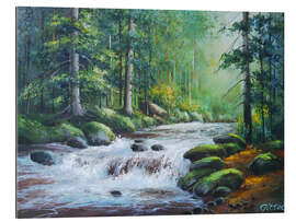 Gallery print Forest brook