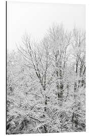 Tableau en aluminium Splendeur de la neige - lorsque les arbres verts deviennent blancs en hiver