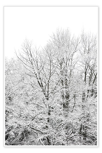 Poster Splendeur de la neige - lorsque les arbres verts deviennent blancs en hiver