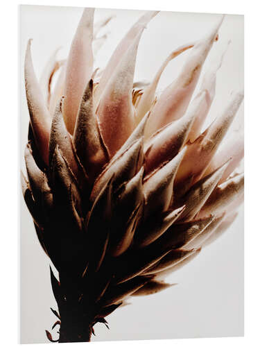 PVC-tavla Protea flower I