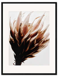 Kehystetty taidepainatus Protea flower I