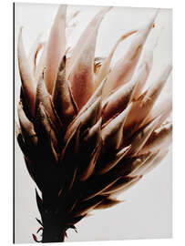 Magnettafel Protea Blüte I