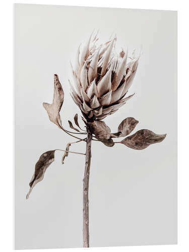 PVC-taulu Protea flower II