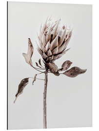 Magnettafel Protea Blüte II