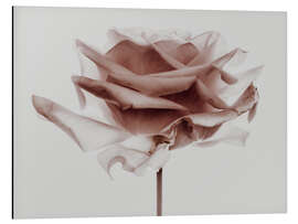 Magnettafel Rosenliebe III