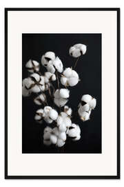 Gerahmter Kunstdruck Baumwoll Zuckerwatte - Trockenblumen