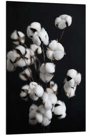 Magnettafel Baumwoll Zuckerwatte - Trockenblumen