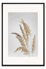 Gerahmter Kunstdruck Golden schimmerndes Pampas Gras