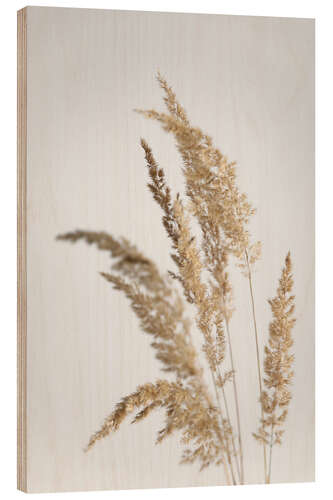 Wood print Cream golden shimmering pampas grasses