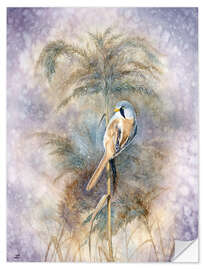 Selvklebende plakat Bearded Reedling