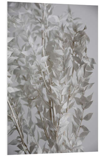 PVC-tavla White leaves - butcher's broom plant