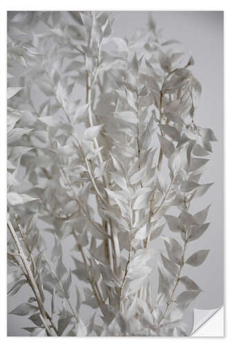 Wall sticker White leaves - butcher's broom plant