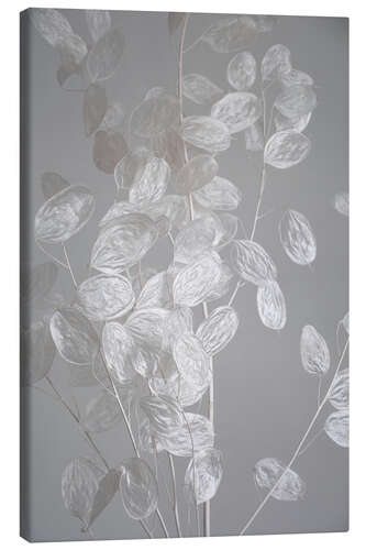 Canvas print Silver leaf - branch of dried plant