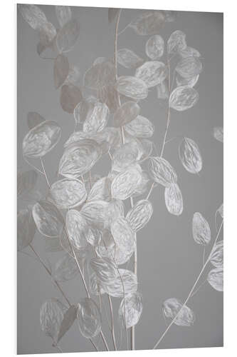 PVC print Silver leaf - branch of dried plant