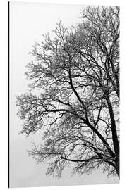 Tableau en aluminium Arbre d'hiver avec de la neige