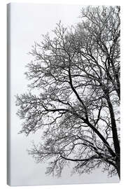 Canvas print Winter tree with snow