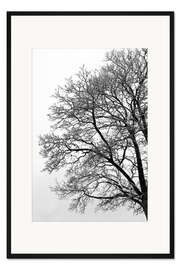 Gerahmter Kunstdruck Winterbaum mit Schnee