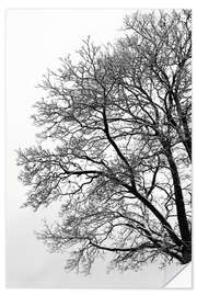 Wall sticker Winter tree with snow