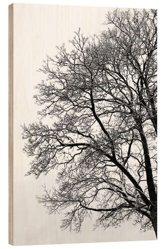 Puutaulu Winter tree with snow