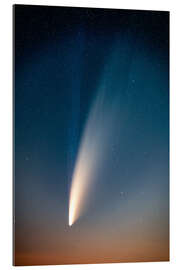 Gallery print Comet NEOWISE