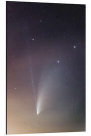 Aluminium print Comet NEOWISE in the Big Dipper constellation