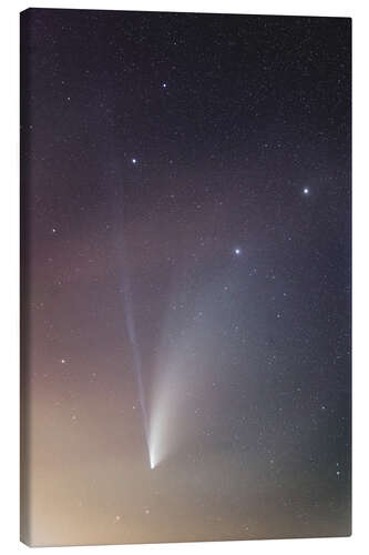 Canvas-taulu Comet NEOWISE in the Big Dipper constellation